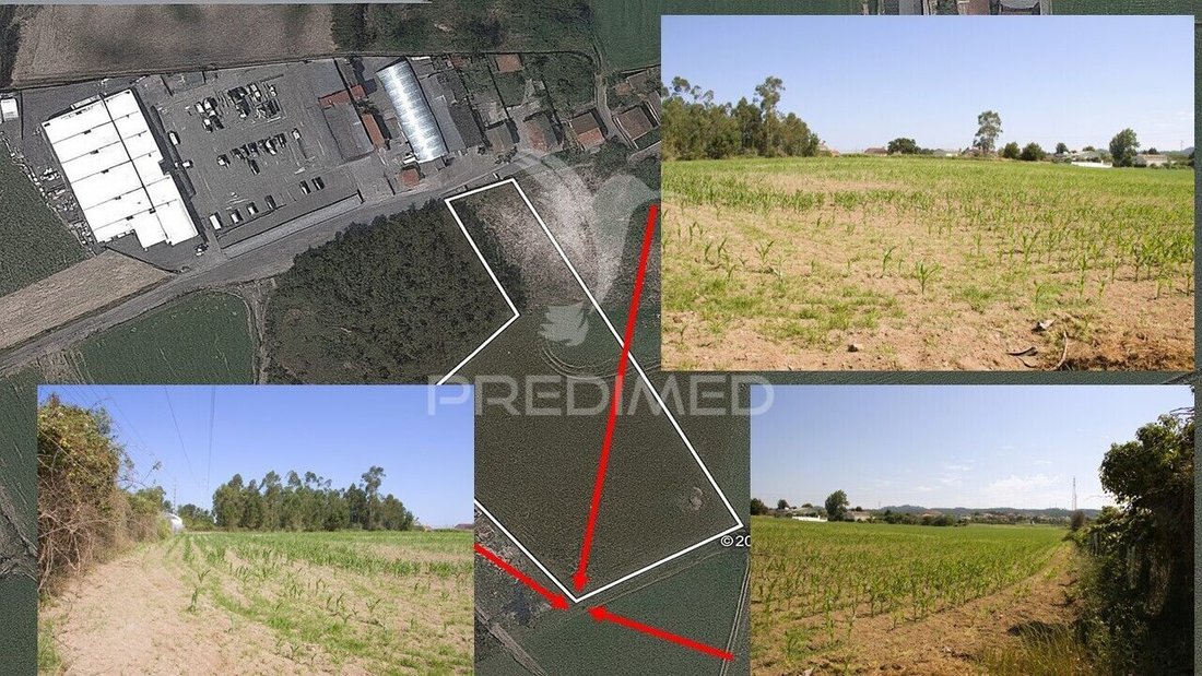 Land in Guilhabreu, Porto District, Portugal 4 - 16231331