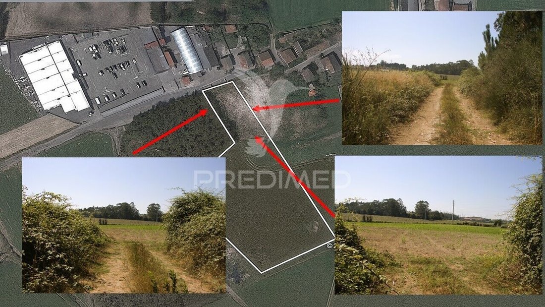 Land in Guilhabreu, Porto District, Portugal 2 - 16231331