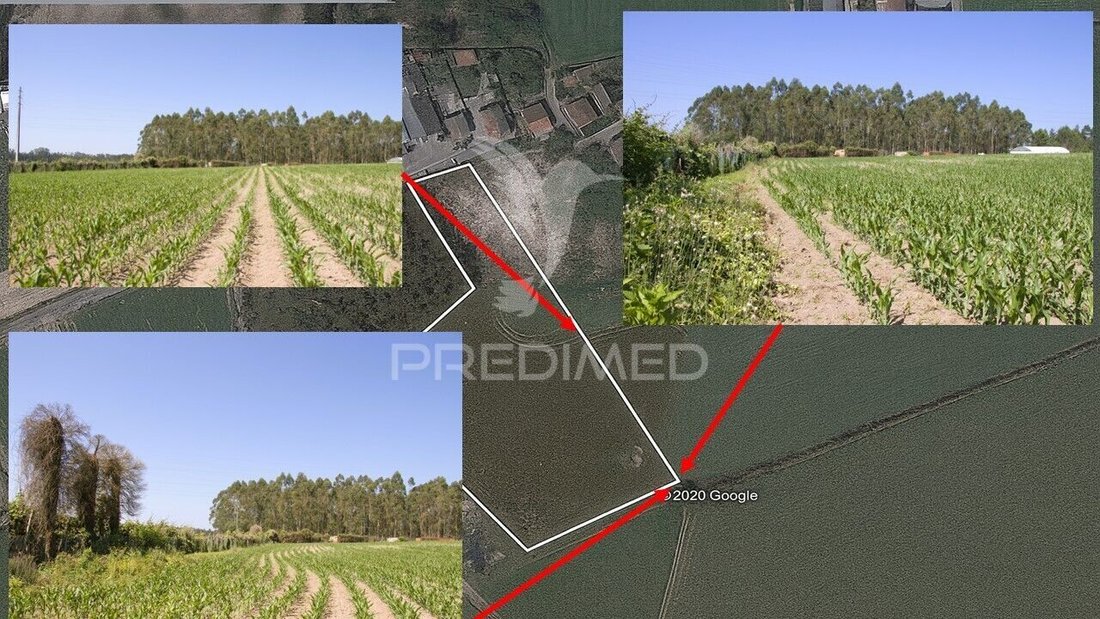 Land in Guilhabreu, Porto District, Portugal 5 - 16231331