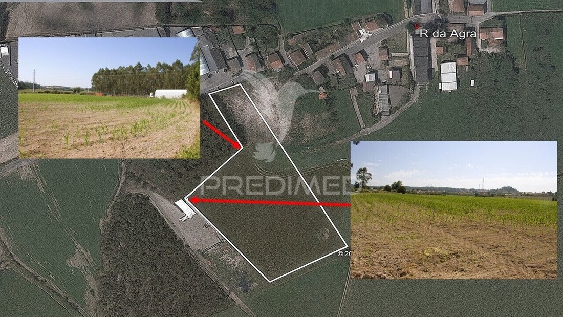 Land in Guilhabreu, Porto District, Portugal 3 - 16231331