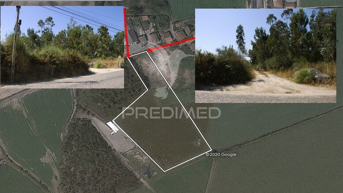 Land in Guilhabreu, Porto District, Portugal 1 - 16231331