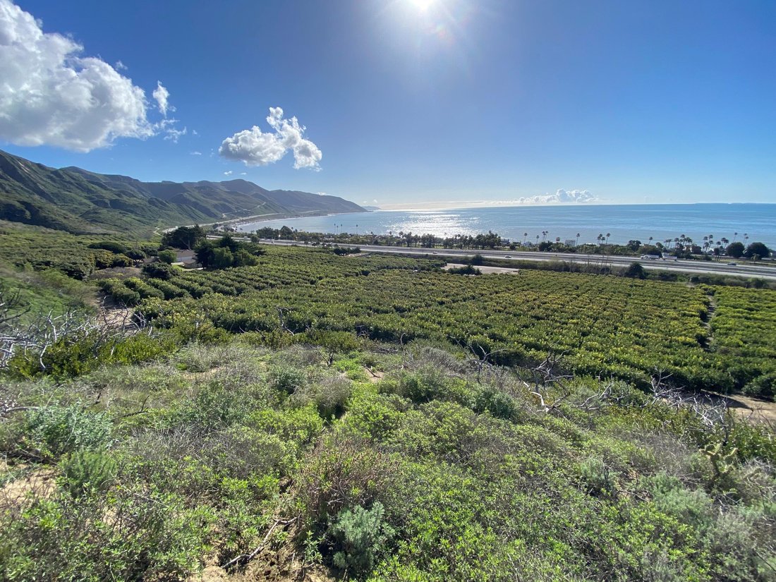 House in Ventura, California, United States 3 - 16233517