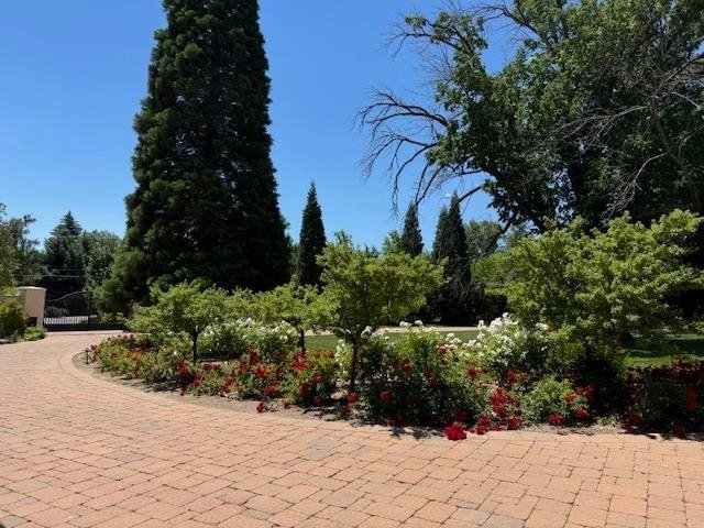 House in Reno, Nevada, United States 2 - 16233484