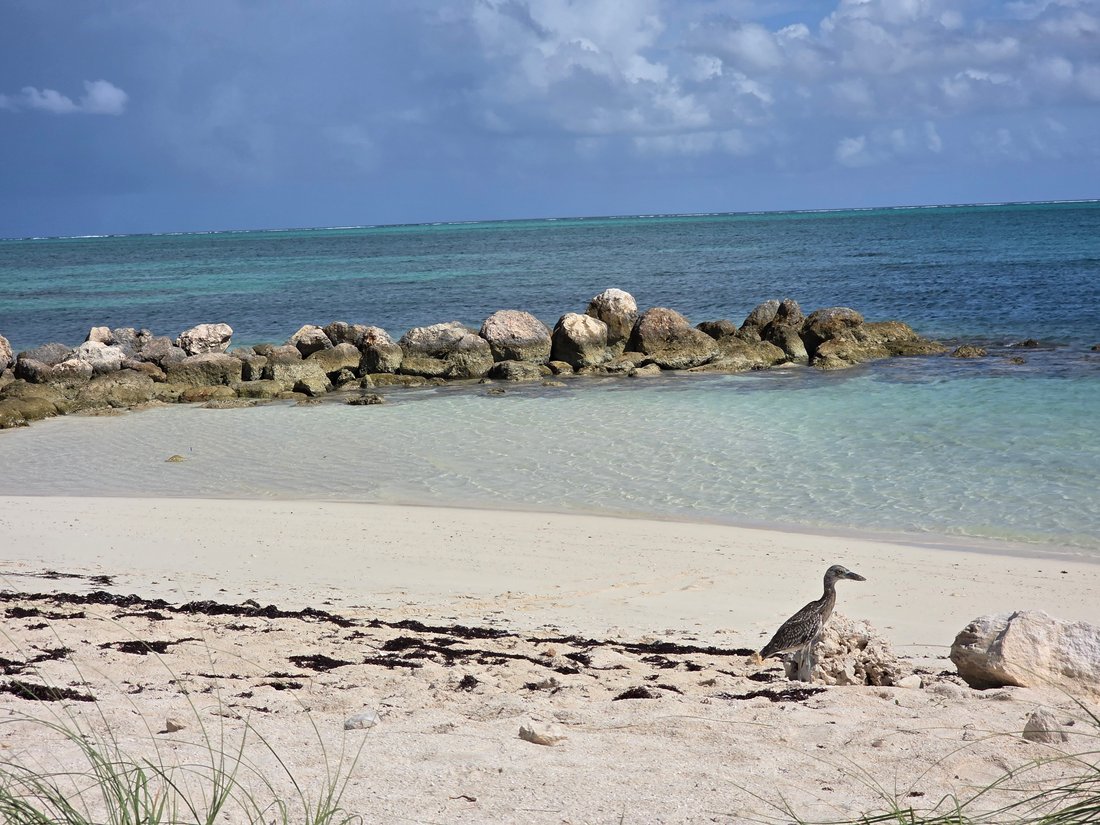 Land in Cooper Jack Bay Settlement, Caicos Islands, Turks and Caicos Islands 4 - 16236211