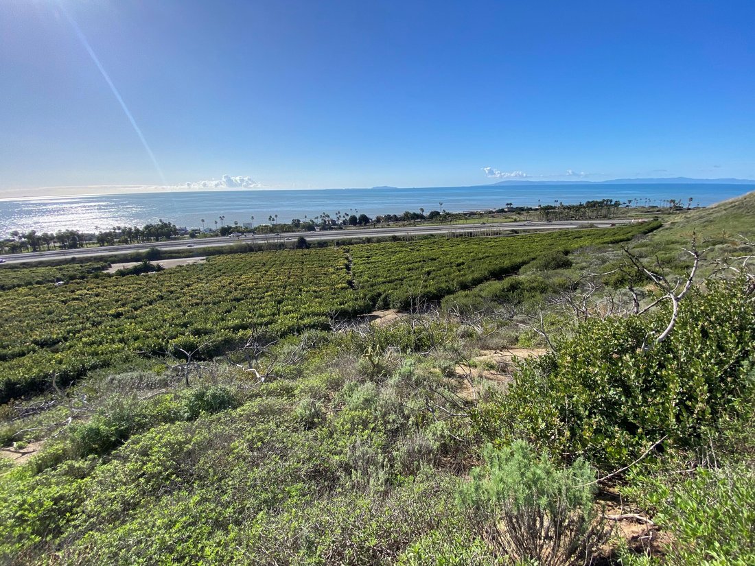 House in Ventura, California, United States 5 - 16233517