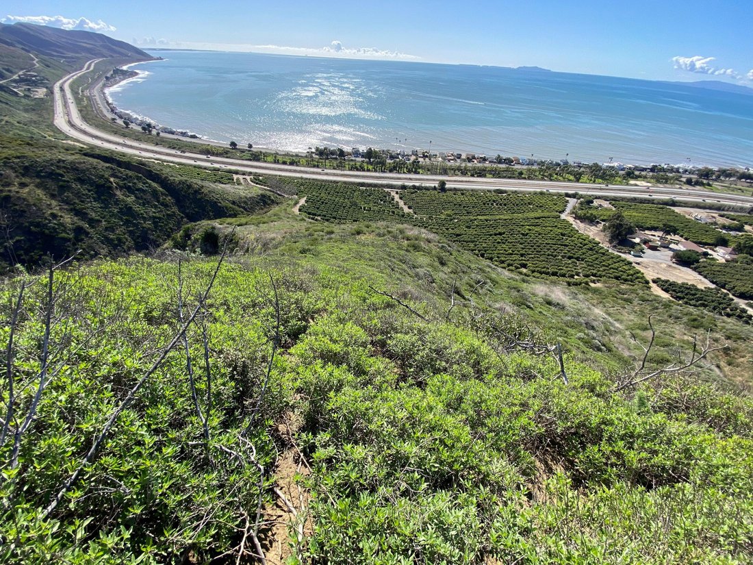 House in Ventura, California, United States 2 - 16233517