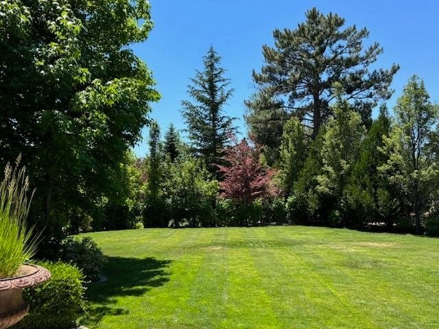 House in Reno, Nevada, United States 4 - 16233484