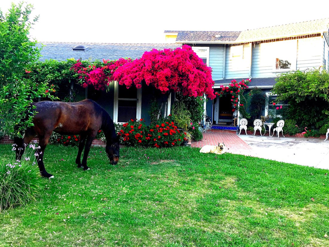 House in Santa Barbara, California, United States 2 - 16233640