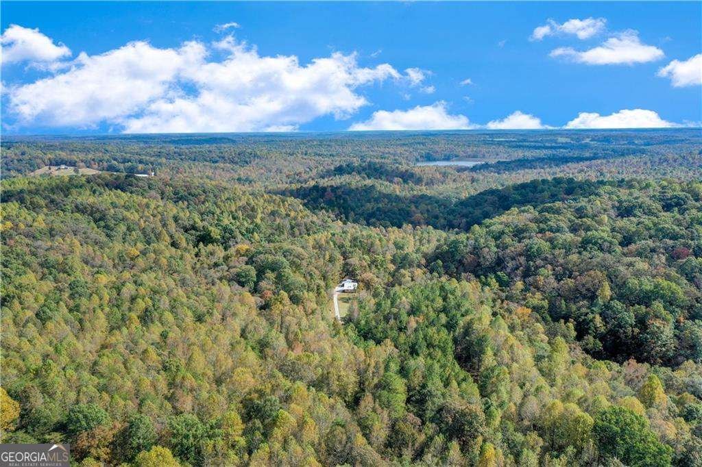 House in Hoschton, Georgia, United States 3 - 16236472