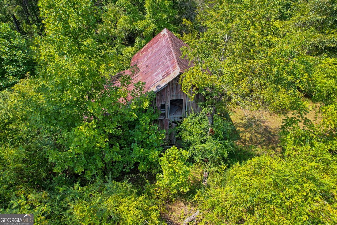 Farm Ranch in Lakemont, Georgia, United States 3 - 16241078
