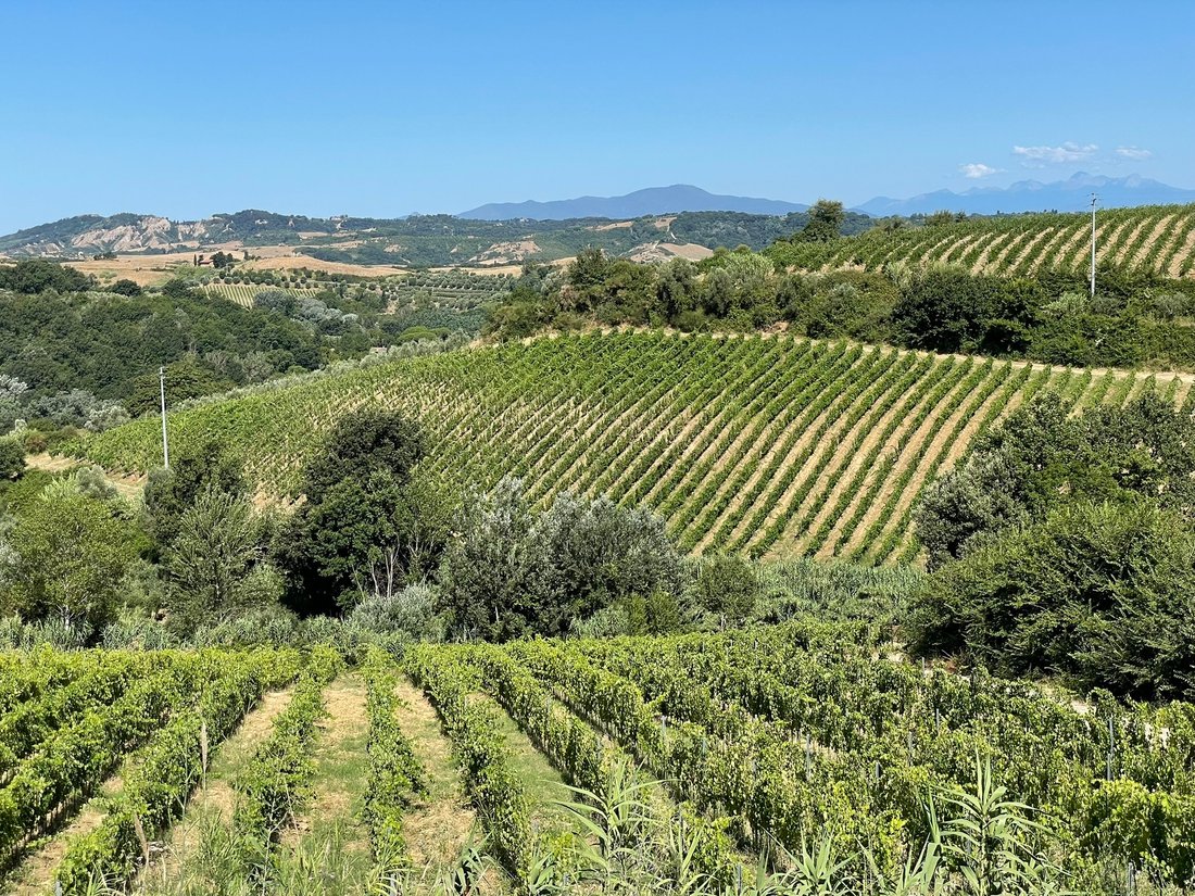 Villa in Montaione, Tuscany, Italy 3 - 16252784