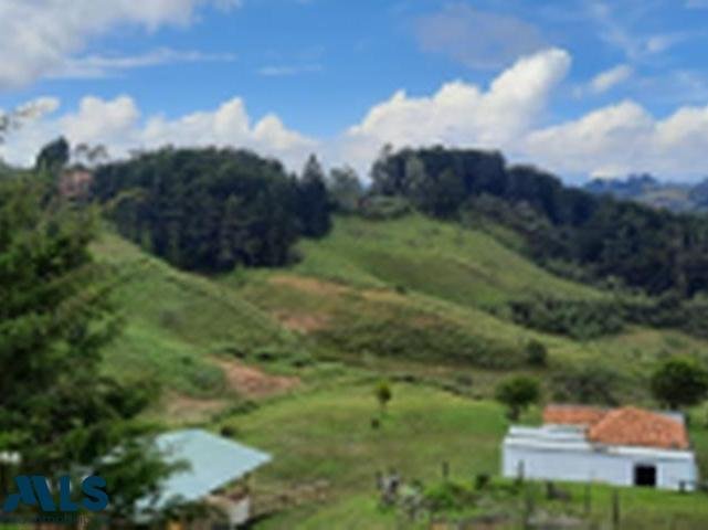 Finca in Guarne, Guarne, Colombia 4 - 16248995