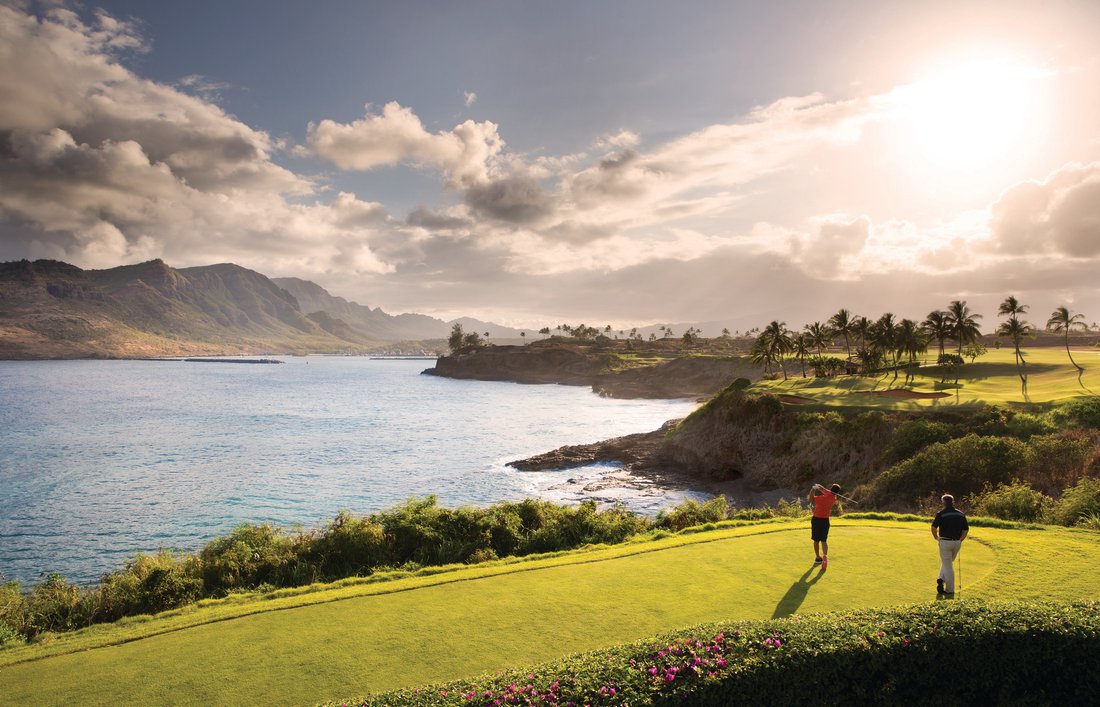 House in Lihue, Hawaii, United States 5 - 16251492