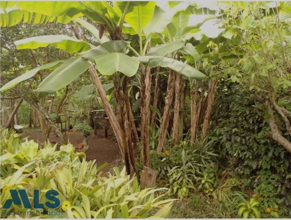Finca in Rionegro, Antioquia, Colombia 3 - 16249262