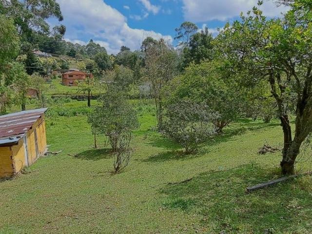 Finca in Rionegro, Antioquia, Colombia 3 - 16249299
