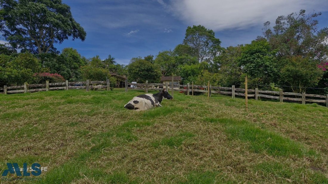 Finca in El Carmen de Viboral, Antioquia, Colombia 2 - 16249093