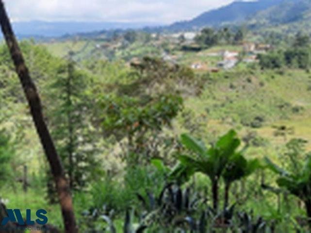 Finca in Guarne, Guarne, Colombia 1 - 16248995