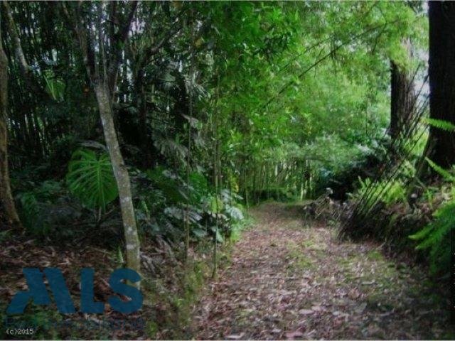 Finca in Rionegro, Rionegro, Colombia 3 - 16248827