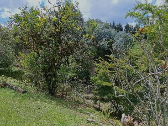 Finca in Rionegro, Antioquia, Colombia 4 - 16249299