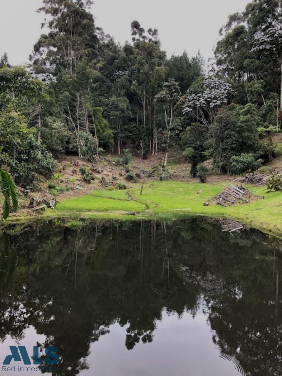 Finca in La Ceja, La Ceja, Colombia 5 - 16249229