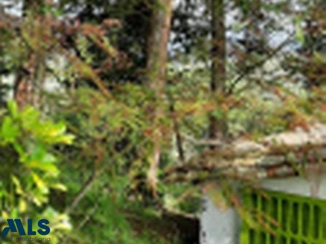 Finca in Guarne, Guarne, Colombia 5 - 16248995