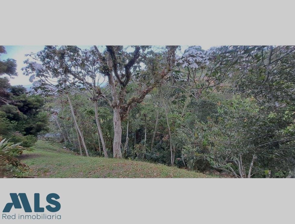 Finca in Rionegro, Rionegro, Colombia 4 - 16249029