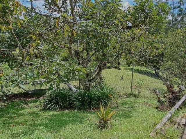 Finca in Rionegro, Antioquia, Colombia 5 - 16249299