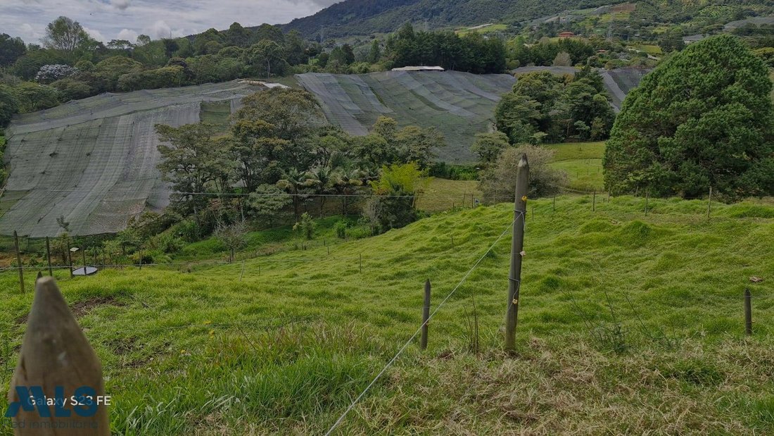 Finca in El Carmen de Viboral, Antioquia, Colombia 4 - 16249093