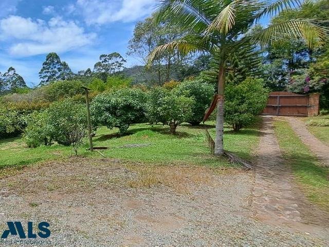 Finca in Rionegro, Antioquia, Colombia 5 - 16249342