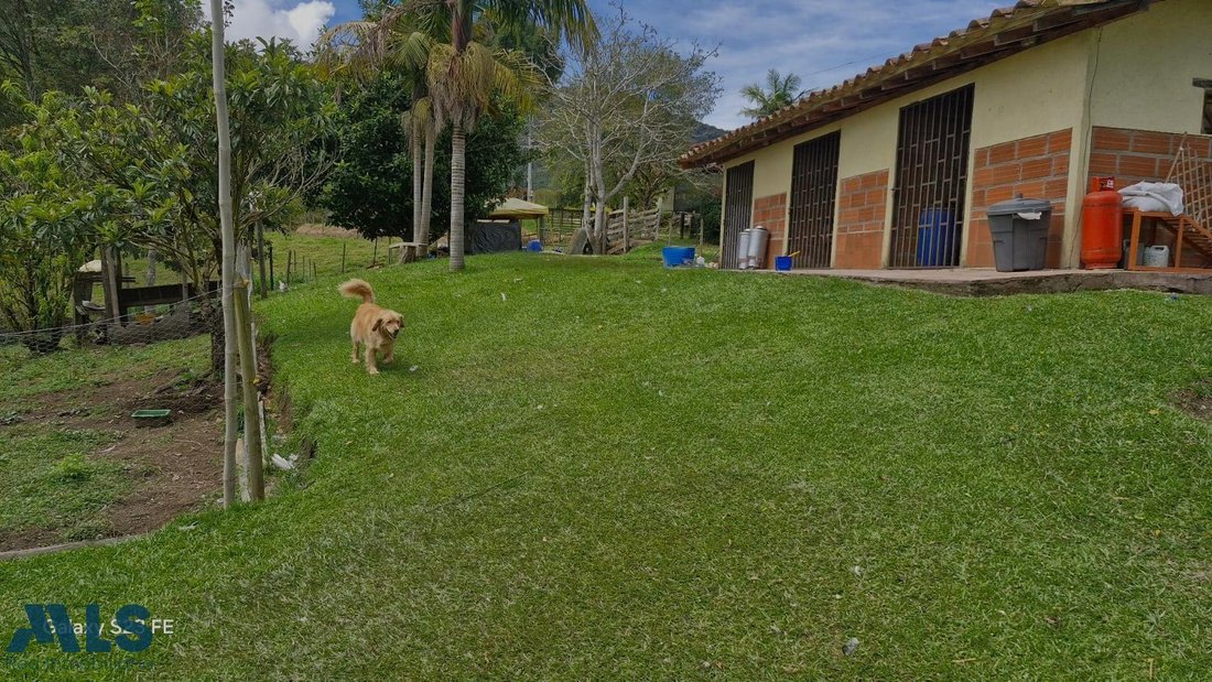 Finca in El Carmen de Viboral, Antioquia, Colombia 5 - 16249093