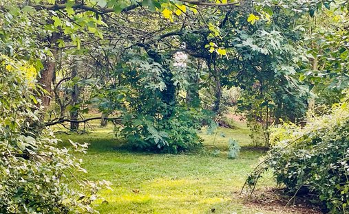 Castle for Sale in Anduze, Occitanie, France