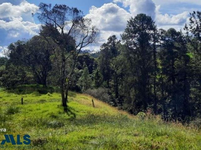 Finca in Envigado, Envigado, Colombia 5 - 16249172