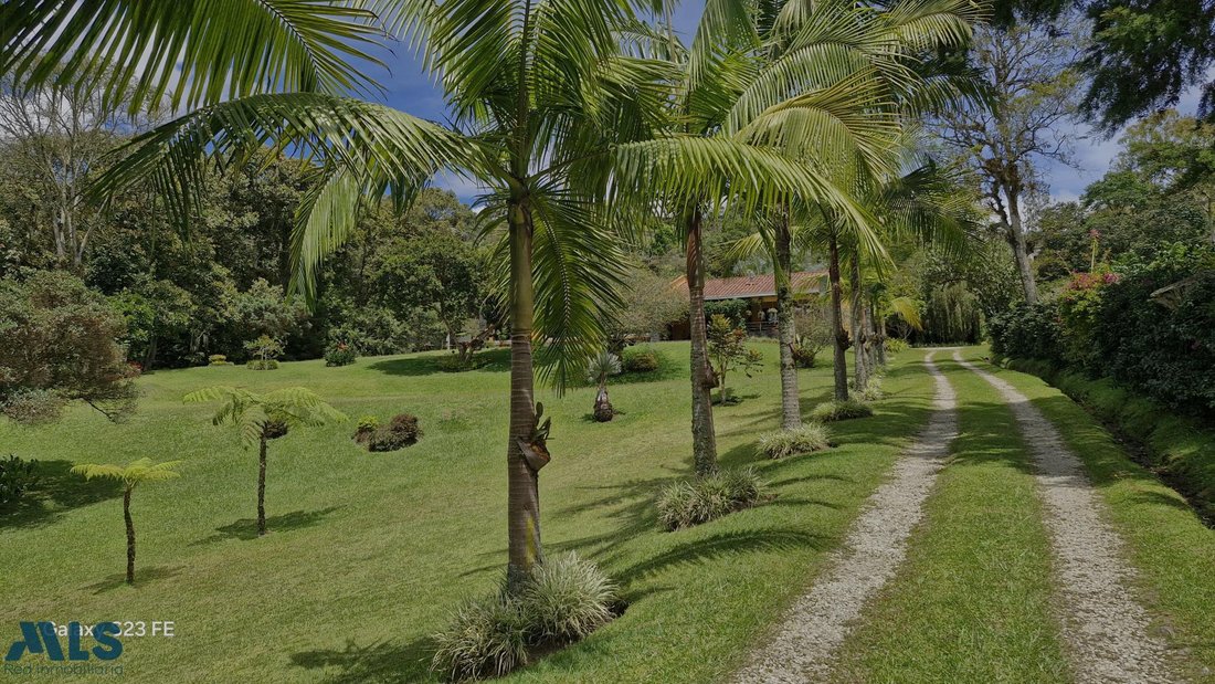 Finca in Rionegro, Antioquia, Colombia 5 - 16249007