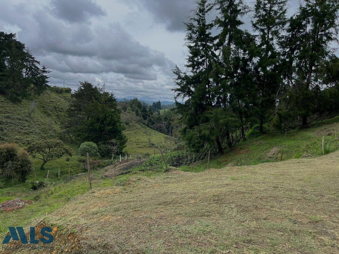 Finca in Rionegro, Antioquia, Colombia 2 - 16248851