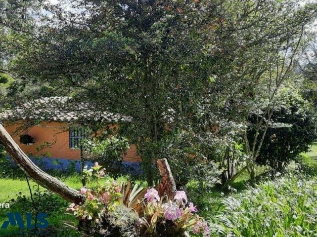Finca in Envigado, Envigado, Colombia 3 - 16249172