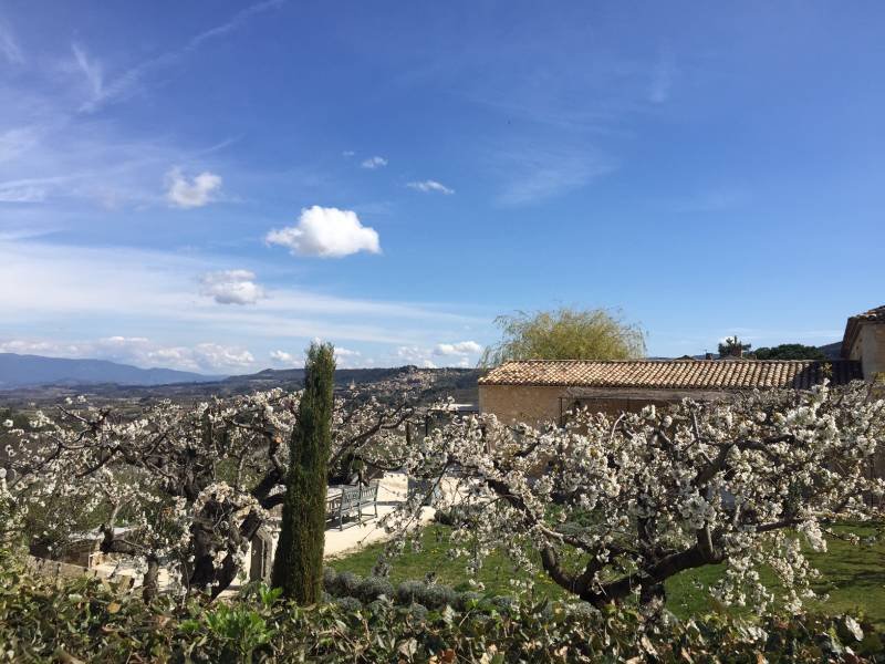 Estate in Bonnieux, Provence-Alpes-Côte d'Azur, France 3 - 16246084