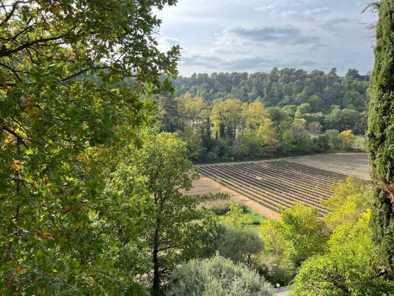Maison à Ménerbes, Provence-Alpes-Côte d'Azur, France 4 - 16247440