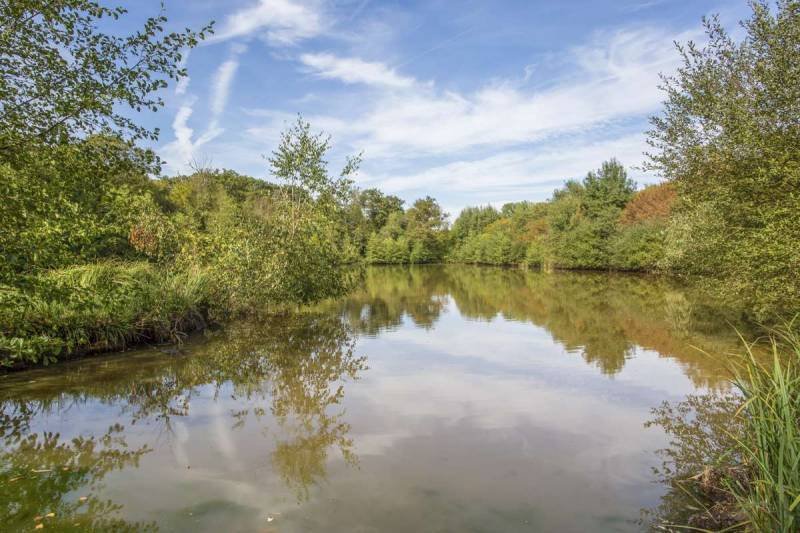 A Whisper of Versailles: The Séguier Wing of Château Brinon, Sologne’s Hidden Crown - 5