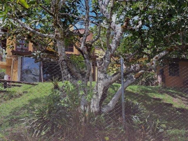 Finca in Rionegro, Antioquia, Colombia 2 - 16249299