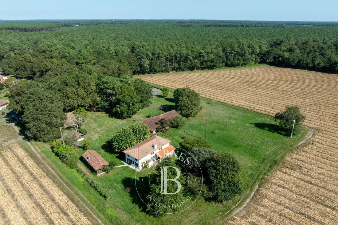 House in Est, Soustons, France 1 - 16123710