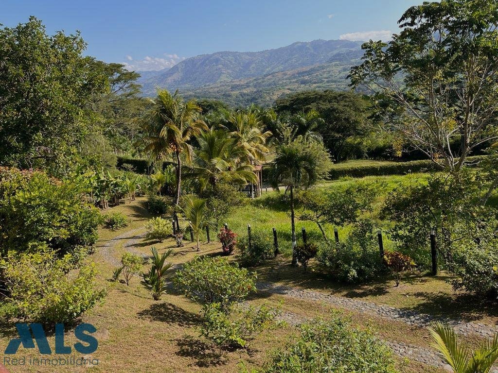 Finca in Fredonia, Fredonia, Colombia 2 - 16248669