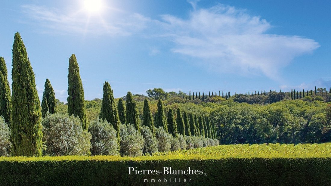 Molière’s Muse: A 160-Hectare Wine Kingdom in Pézenas’ Golden Light