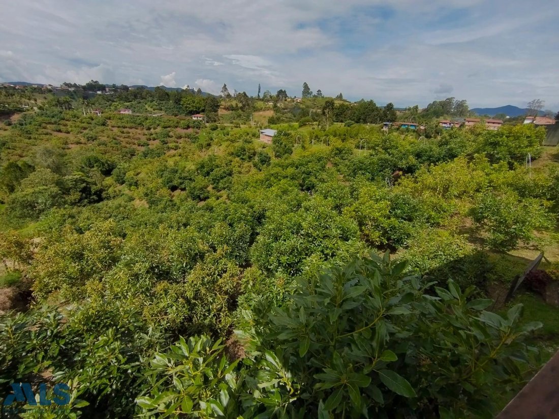 Finca in Rionegro, Antioquia, Colombia 3 - 16248813