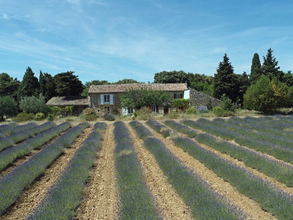 House in Grignan, Auvergne-Rhône-Alpes, France 2 - 16245955