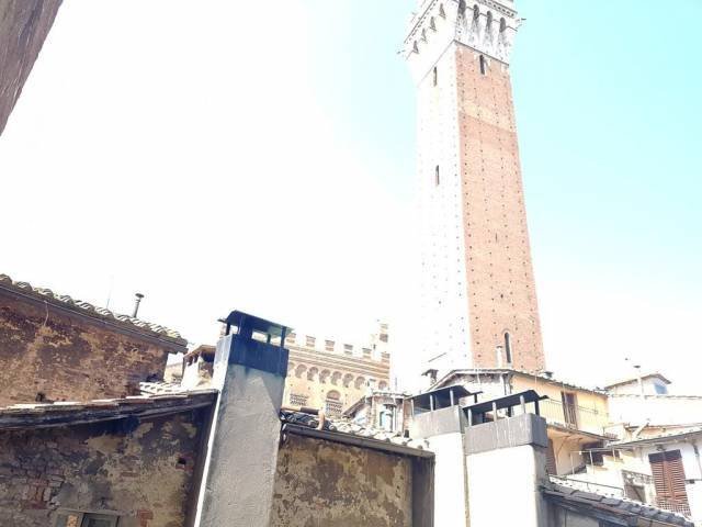 Apartment in Historic Center, Siena, Tuscany 5 - 16250849