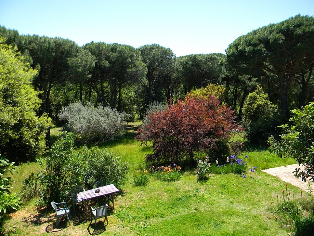 Estate in Saint-Montan, Auvergne-Rhône-Alpes, France 5 - 16245981