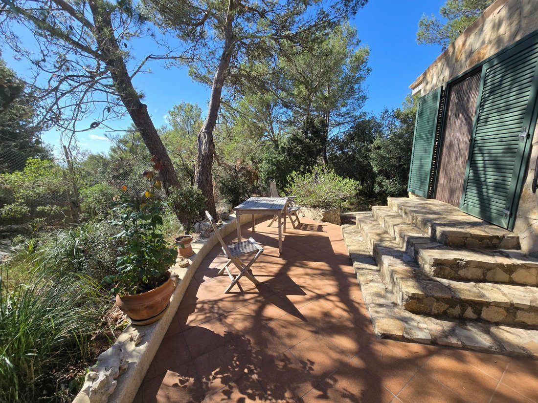Country House in Esporles, Balearic Islands, Spain 4 - 16250412