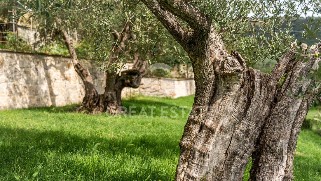 Estate in Corciano, Umbria, Italy 4 - 16160526