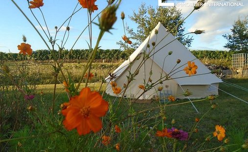 Castle for Sale in Saussignac, Nouvelle-Aquitaine, France