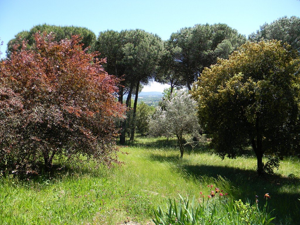 Estate in Saint-Montan, Auvergne-Rhône-Alpes, France 3 - 16245981
